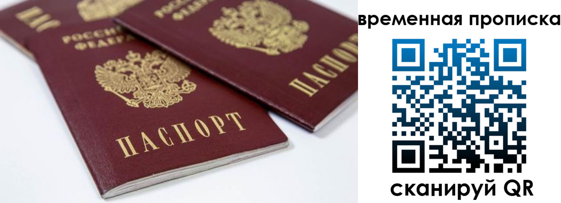 прописка для школы в Домодедово